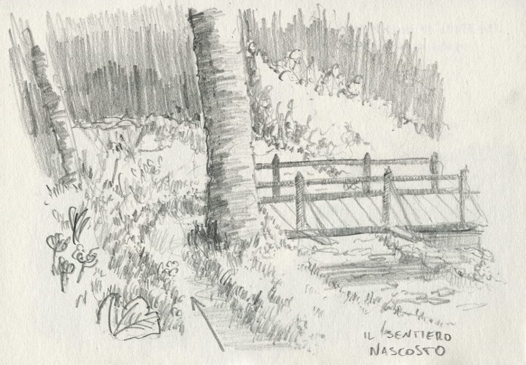 trekking cuneaz, disegno un bivio nascosto di un sentiero che porta nel bosco